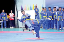 Ấn tượng màn trình diễn của các võ sĩ Vovinam