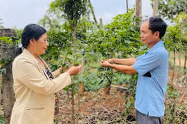 Ông Lành “dân vận khéo”