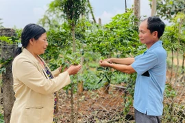 Ông Lành “dân vận khéo”