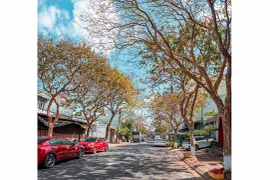 Sắc màu tháng ba