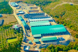 “Đứng trên vai người khổng lồ”