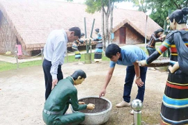 Một lần đến sóc Bom Bo