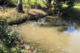  Bé trai 3 tuổi ở Ia Pa tử vong do đuối nước