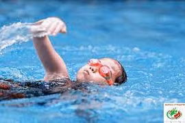 Rèn luyện kỹ năng quan sát