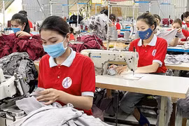 Hỗ trợ hợp tác xã do phụ nữ quản lý