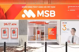 Bắt nữ giám đốc Ngân hàng MSB Thanh Xuân lừa đảo 338 tỉ đồng