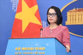 Việt Nam hoan nghênh Nghị quyết của HĐBA LHQ về việc ngừng bắn tại Dải Gaza