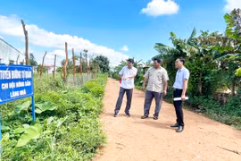 Tổ tự quản ở Ia Blang góp phần đảm bảo trật tự an toàn giao thông