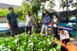 Xuân An hỗ trợ sinh kế giúp người dân thoát nghèo