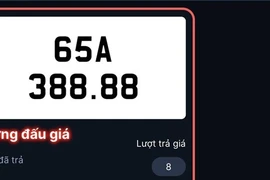 Một biển ôtô số đẹp phải dừng đấu giá đột ngột chưa rõ nguyên nhân