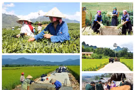 Phó Thủ tướng Chính phủ Trần Lưu Quang: Quyết liệt triển khai thực hiện các chương trình mục tiêu quốc gia