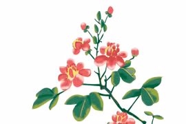 Thơ Phạm Đức Long: Tản mạn ngày xuân