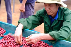 Chàng trai đổi đời nhờ nông nghiệp hữu cơ vì dám làm khác, nghĩ khác...