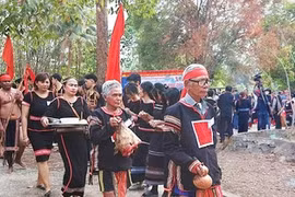 Diệu kỳ xứ voi 