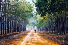 Đừng vội nản lòng