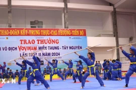 Khai mạc Giải Vô địch Vovinam miền Trung-Tây Nguyên