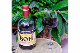 “Rượu vang” Tây Nguyên