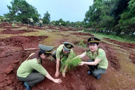 Chung tay bảo vệ “lá phổi xanh” của thành phố 