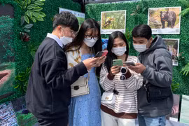 Giới trẻ Đà Lạt hào hứng trải nghiệm cà phê Sơn dã 