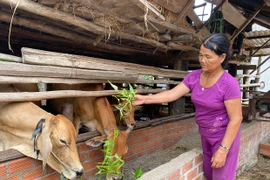 Krông Pa xây dựng chính quyền thân thiện, gần dân, hiểu dân