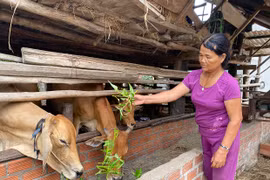 Krông Pa xây dựng chính quyền thân thiện, gần dân, hiểu dân