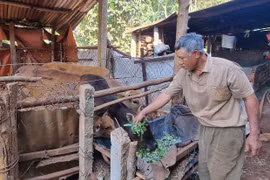 “Tiếp sức” để tái hòa nhập cộng đồng