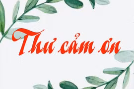 Thư cảm ơn của Hội Bảo trợ người khuyết tật và Bảo vệ quyền trẻ em tỉnh Gia Lai