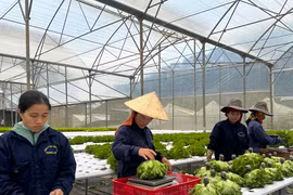 Nông dân sử dụng công nghệ ứng phó biến đổi khí hậu