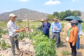 Thành “tỷ phú nông dân” nhờ chuyển đổi cây trồng