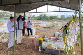 Tấm lòng người xa xứ