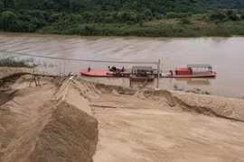 Ngăn chặn 'nhân tai'