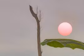 Những đêm trăng lẻ