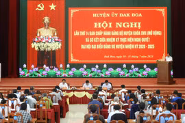 Đảng bộ huyện Đức Cơ và Đak Đoa sơ kết giữa nhiệm kỳ