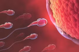 Hy hữu: Hơn 100 giờ sau tử vong, tinh trùng vẫn sống