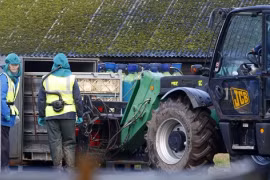 Phần Lan chuẩn bị tiêm vắc-xin cúm A/H5N1 cho người