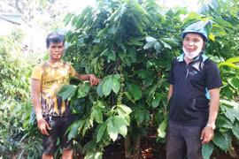 Người dân Ia Rong xóa bỏ tư tưởng trông chờ, ỷ lại