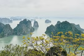 Nơi nào của Việt Nam vào top điểm đến tuyệt vời nhất thế giới?