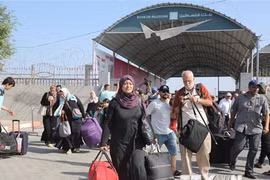 Khảo sát phương án sơ tán người Việt ở Israel khi chiến sự leo thang