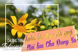 Tuần lễ Hoa Dã Quỳ - Núi lửa Chư Đang Ya