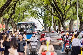 Du khách ùa tới thủ phủ cà phê để đi chơi lễ