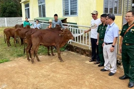 Bình yên vùng biên Đông Nam bộ - Bài 1: Sức sống mới ở miền biên viễn