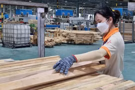 Xuất khẩu gỗ và sản phẩm từ gỗ đạt gần 4,9 tỷ USD