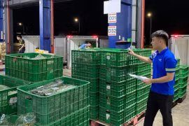 Đưa hàng trăm tấn rau củ quả, thịt heo... tiếp ứng vùng lũ miền Bắc mỗi ngày