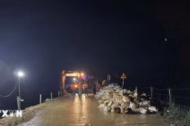 Xảy ra 25 sự cố đê điều do ảnh hưởng của mưa lũ lớn tại 9 tỉnh, thành phố