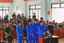 Phá rừng để làm rẫy, nhóm đối tượng lĩnh án 9 năm tù