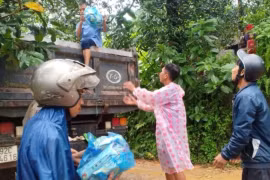 Giúp đỡ thiết thực và hiệu quả