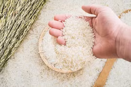 Giá gạo xuất khẩu của Việt Nam mất vị trí cao nhất thế giới