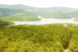 Tín chỉ carbon - Giải pháp khôi phục rừng Tây Nguyên - Bài 1: 'Mỏ vàng' chưa được đánh thức