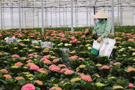 2 tập thể được đề nghị xét tặng Giải thưởng Bông lúa vàng Việt Nam