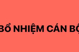 Thủ tướng Chính phủ bổ nhiệm lãnh đạo 3 cơ quan